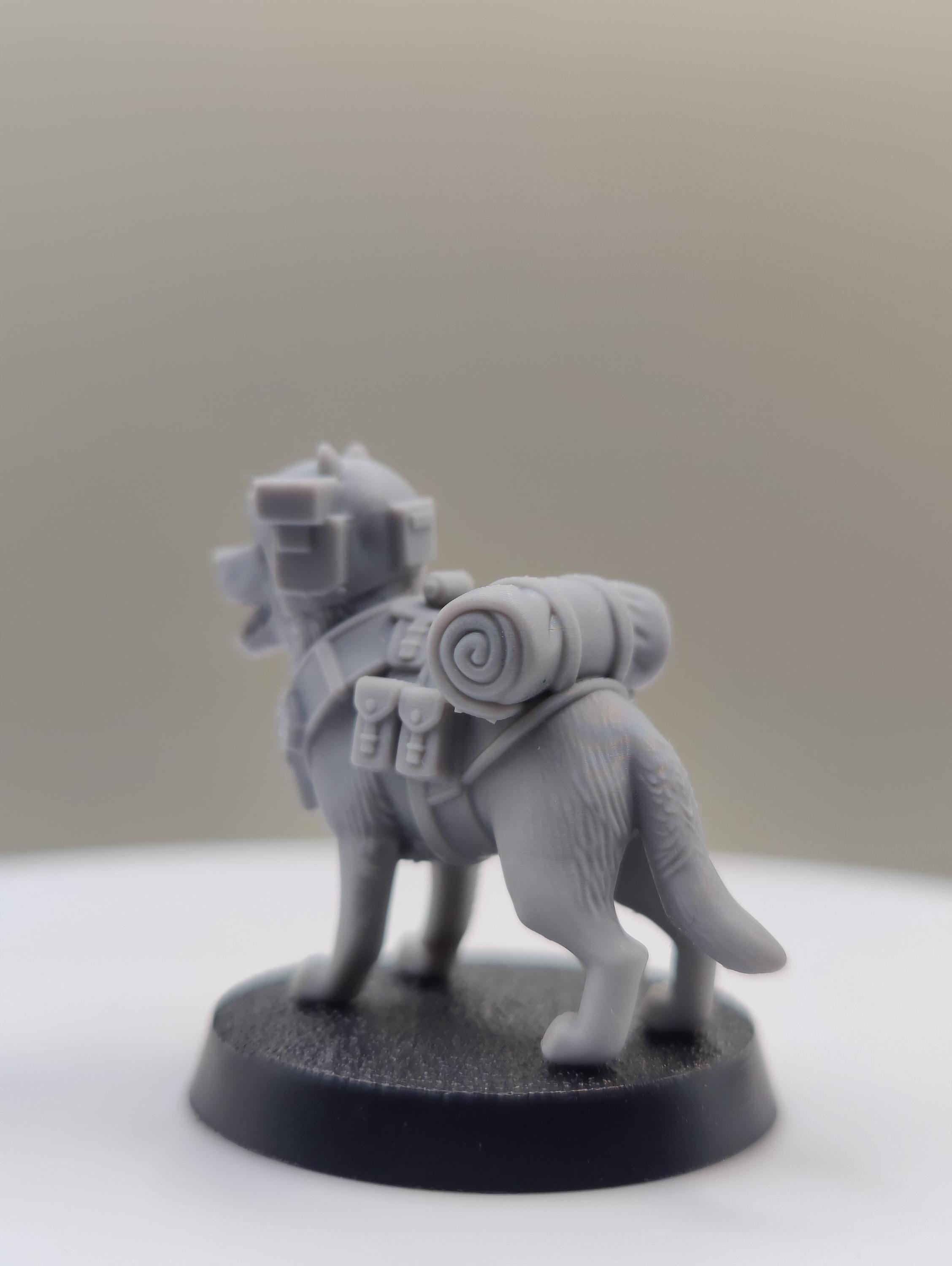 Grimdark Dog Guard Model Gift Tabletop Sci Fi Wargaming Proxy